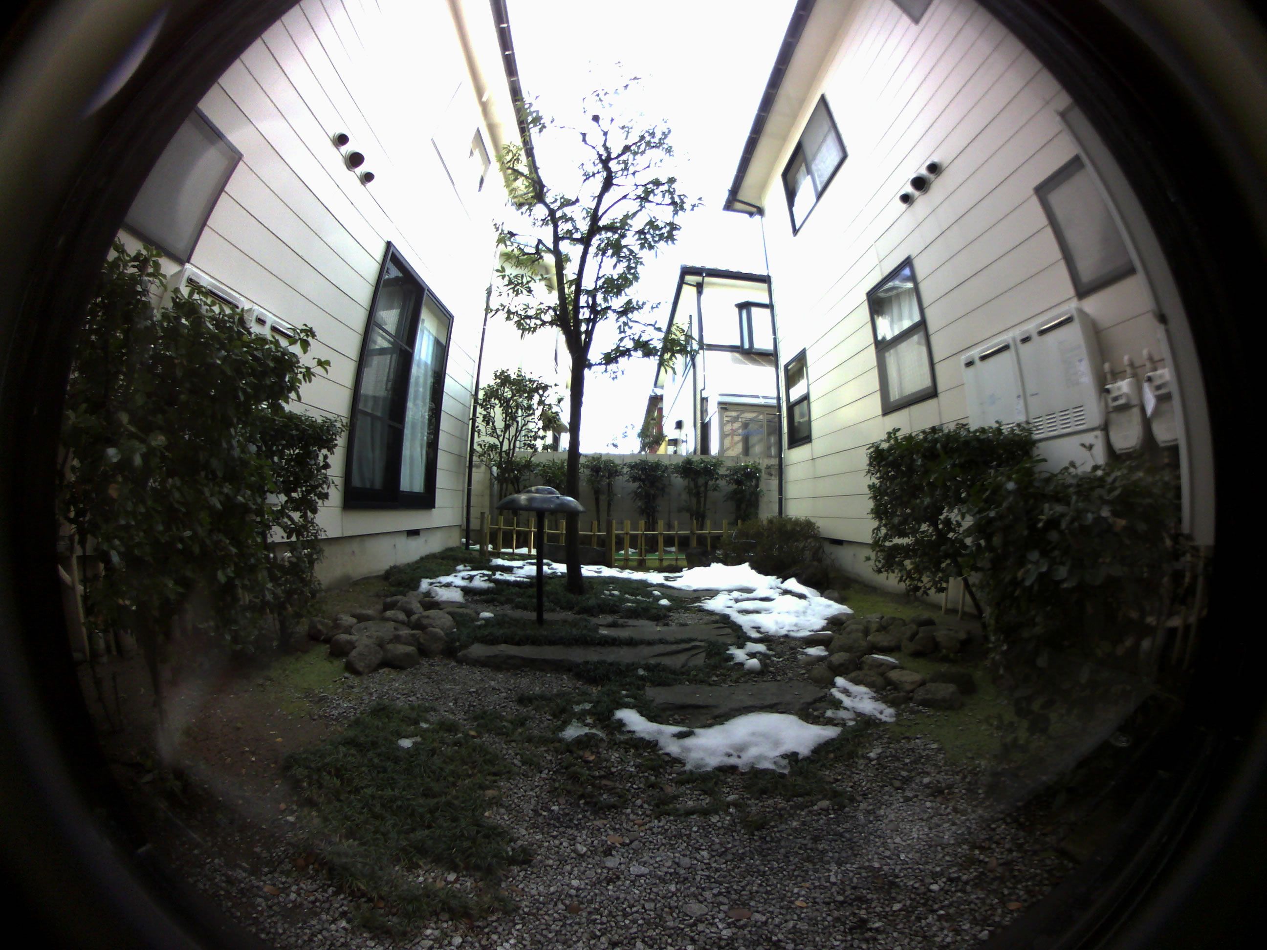 魚眼(500万画素) - 株式会社ガゾウ