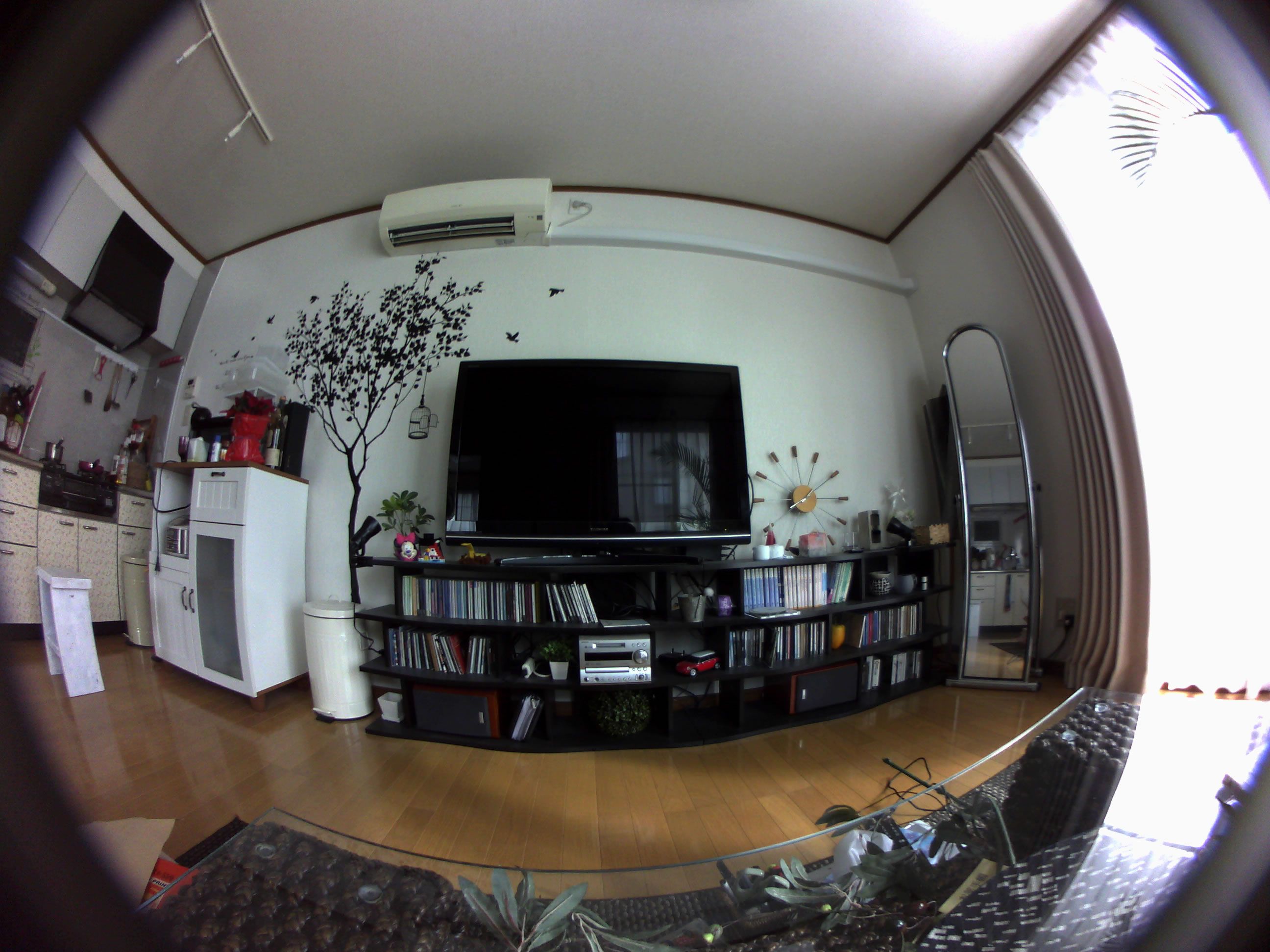 魚眼(500万画素) - 株式会社ガゾウ