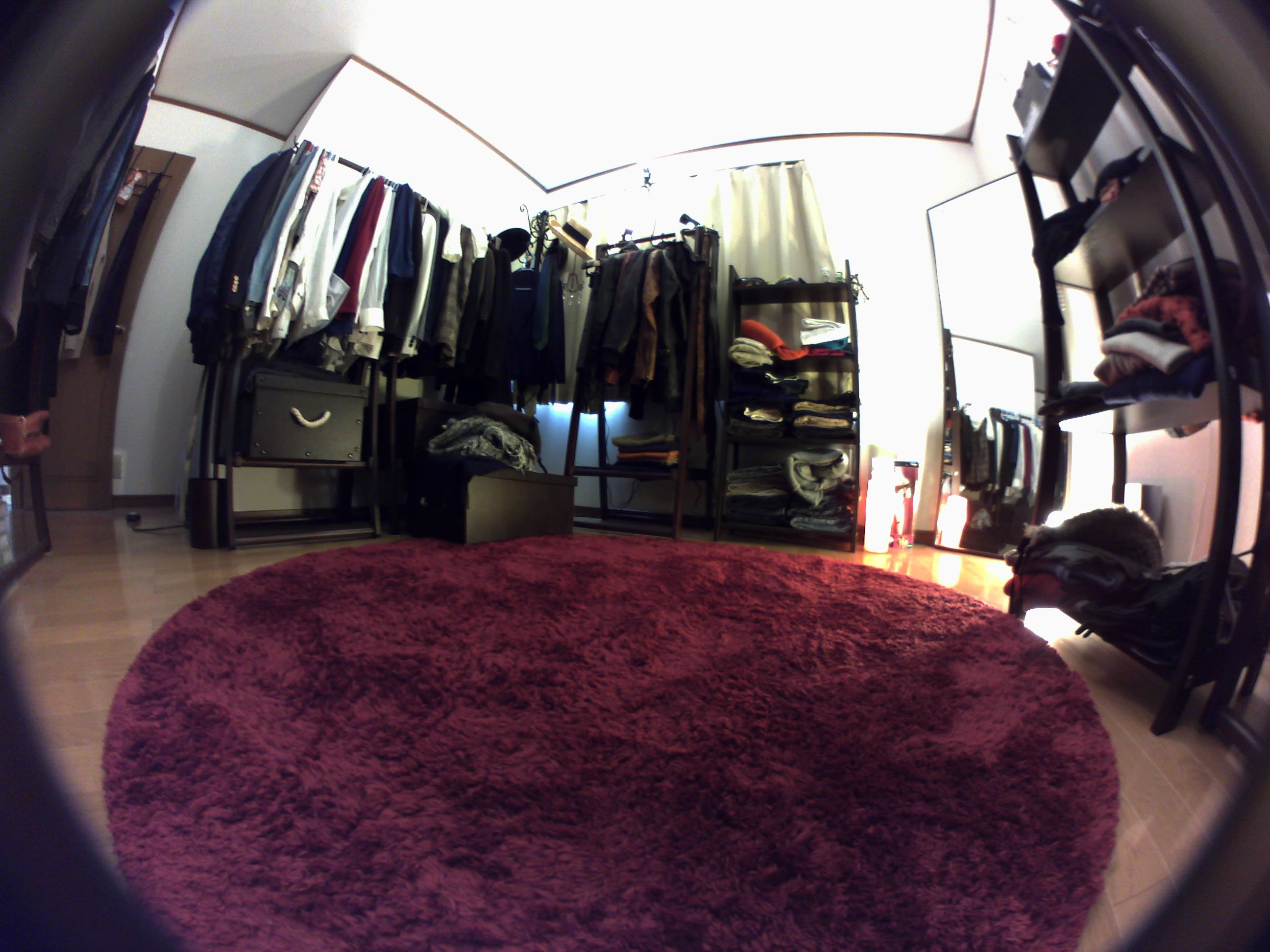 魚眼(500万画素) - 株式会社ガゾウ